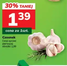 Hitpol Czosnek oferta