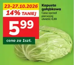 Hitpol Kapusta gołąbkowa oferta