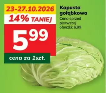 Kapusta gołąbkowa
