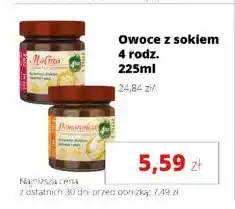 Torimpex Owoce z sokiem oferta