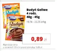 Torimpex Budyń Gellwe oferta