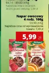 Torimpex Napar owocowy Herbapol oferta