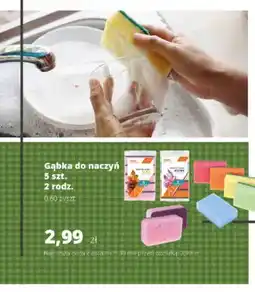 Torimpex Gąbka do naczyń oferta