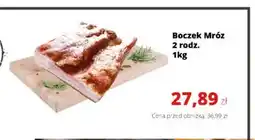 Torimpex Boczek Mróz oferta