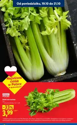 Lidl Seler naciowy polski oferta