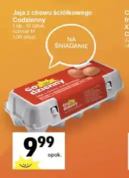 Delikatesy Centrum Jajka kurze z chowu ściółkowego Codzienny oferta