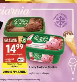 Delikatesy Centrum Lody Zielona Budka oferta