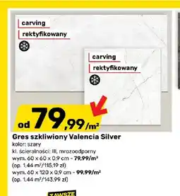 Bricomarche Gres szkliwiony Valencia Silver 60x120 cm oferta