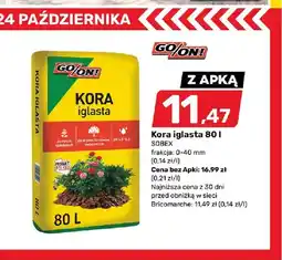 Bricomarche Kora iglasta Sobex oferta
