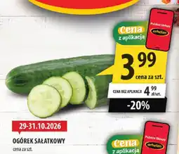 Arhelan Ogórek sałatkowy oferta