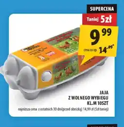 Arhelan Jajka kurze z wolnego wybiegu oferta