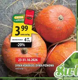 Arhelan Dynia hokkaido oferta