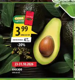 Arhelan Awokado oferta