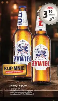 Arhelan Piwo Żywiec oferta