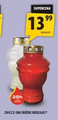 Arhelan Znicz Z-388 oferta