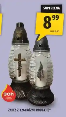 Arhelan Znicz Z-126 oferta
