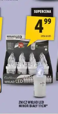 Arhelan Znicz wkład LED Minor biały 11 cm Cortina oferta