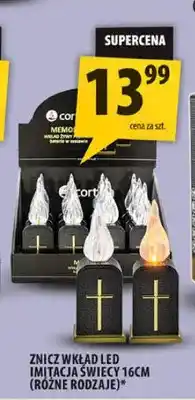 Arhelan Znicz wkład LED imitacja świecy 16 cm Cortina oferta