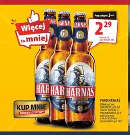 Arhelan Piwo Harnaś oferta