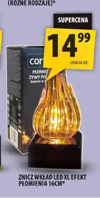 Arhelan Znicz wkład LED Xl efekt płomienia 16 cm Cortina oferta