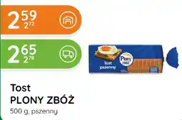 Eurocash Cash & Carry Tost PLONY ZBÓŻ oferta