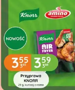 Eurocash Cash & Carry Przyprawa KNORR kurczaj z rożna oferta
