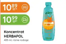 Eurocash Cash & Carry Koncentrat HERBAPOL oferta
