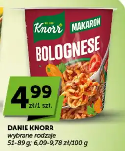 Groszek Danie Knorr Bolognese oferta