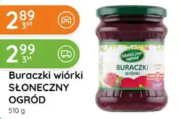 Eurocash Cash & Carry Buraczki wiórki słoneczny ogród oferta