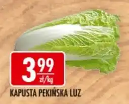 Sklepy Doroty Kapusta Pekinska Luz oferta