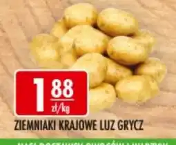 Sklepy Doroty Ziemniaki Krajowe Luz Grycz oferta