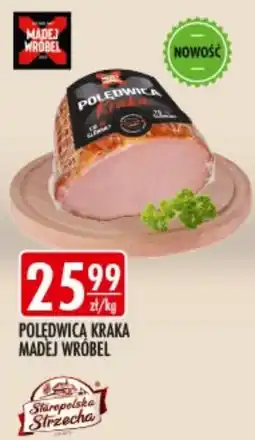 Sklepy Doroty Poledwica Kraka Madej Wróbel oferta
