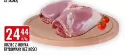 Sklepy Doroty Udziec z Indyka oferta