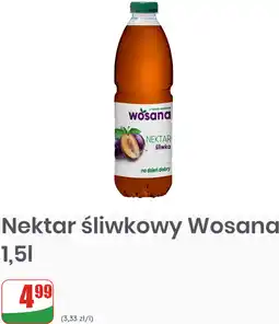 Dino Nektar śliwkowy Wosana oferta