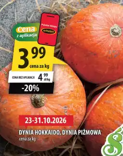 Arhelan Dynia oferta