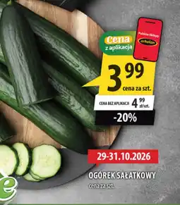 Arhelan Ogórek Arhelan oferta