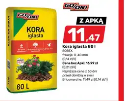 Bricomarche iglasta Kora oferta