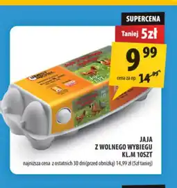Arhelan Jaja oferta