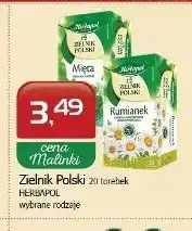 Malinka Market Herbata ziołowa Zielnik Polski Mięta Herbapol oferta