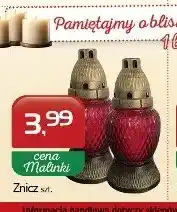 Malinka Market Znicz oferta