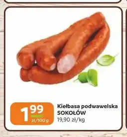 Gama Kiełbasa podwawelska Sokołów oferta