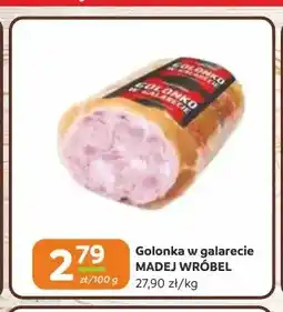 Gama Golonka w galarecie Madej Wróbel oferta
