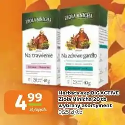 Gama Herbata ekspresowa Big-Active Zioła Mnicha na trawienie oferta