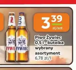 Gama Piwo Żywiec oferta