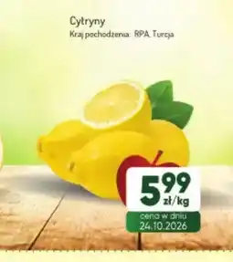 Avita Cytryny oferta
