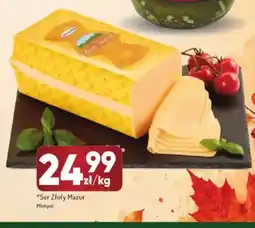 Avita Ser Złoty Mazur Mlekpol oferta