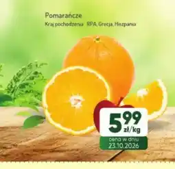 Avita Pomarańcze oferta