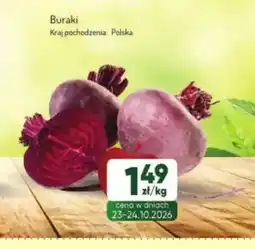 Avita Buraki oferta