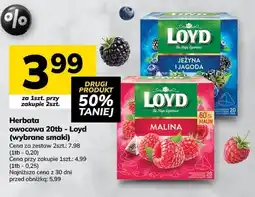 Hitpol Herbata owocowa Loyd malina oferta