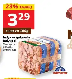 Hitpol Indyk w galarecie Indykpol oferta